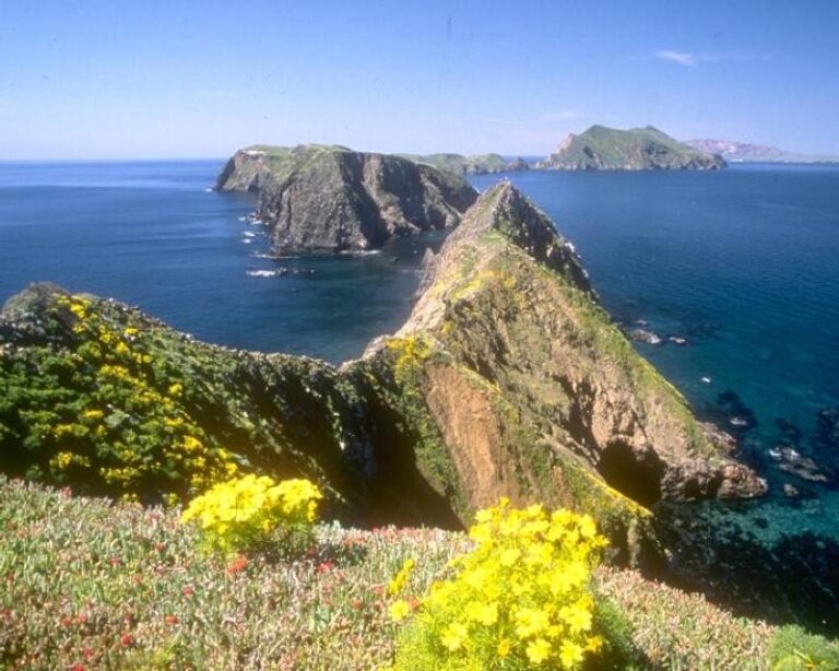 15663 Channel Islands National Park 768x614