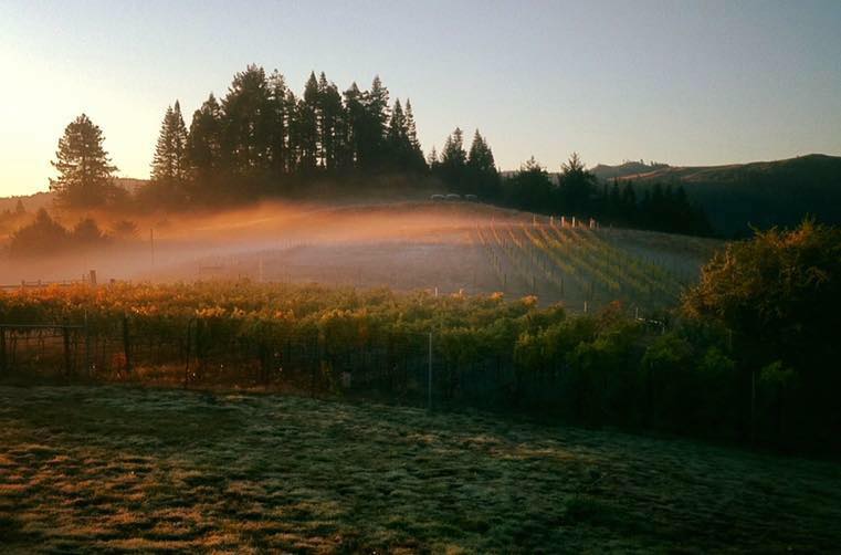 15621 Monument Mountain Vineyards