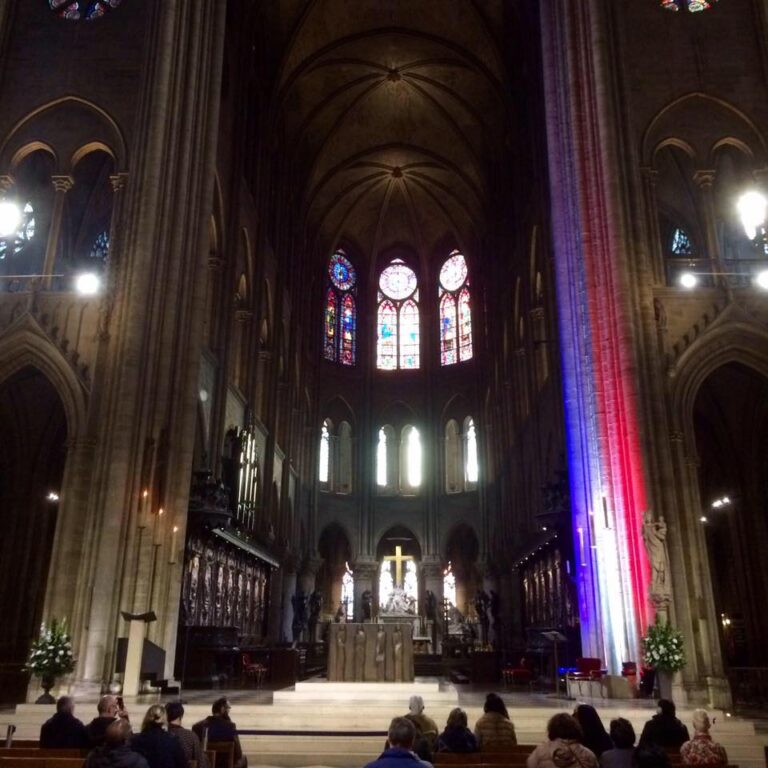 12241495 812749768847089 5284378593286952547 n 768x768