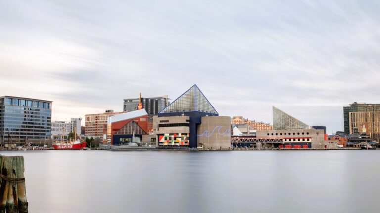 National Aquarium 768x432