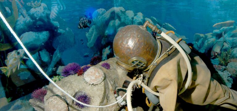 lamm slide 11 768x360