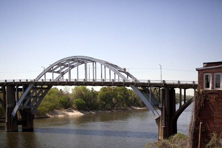 960px Edmund Pettus Bridge 031 768x512