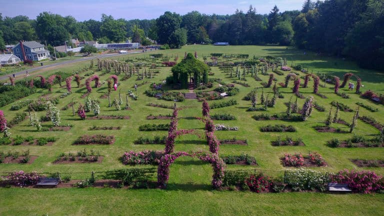 elizabethparkct
